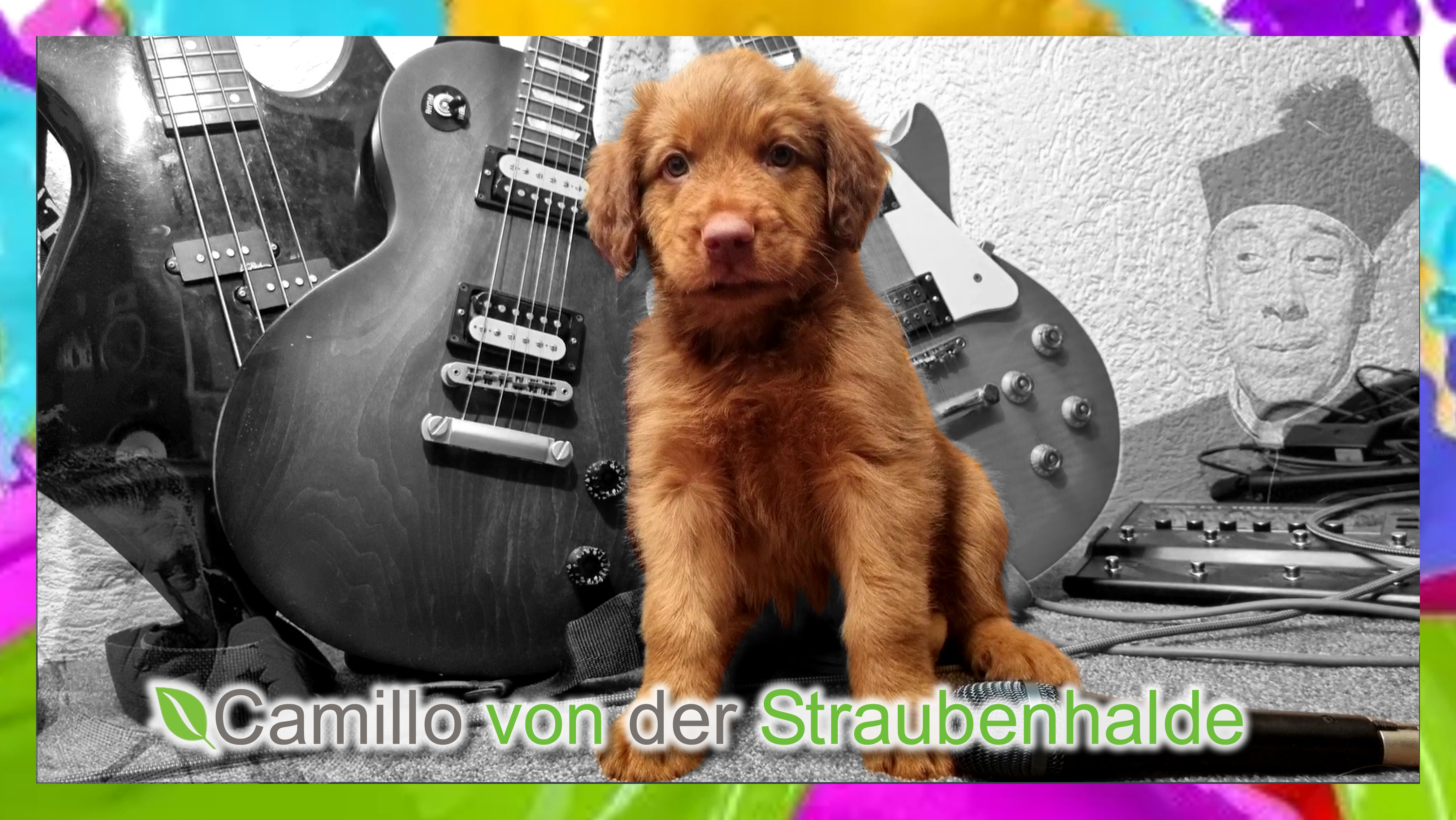 Wäller von der Straubenhalde